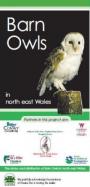 Barn owl leaflet